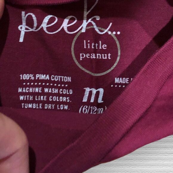 Peek 6-12 Month Baby Girl Graphic Tee Shirts Purple Pink Orange Fall Pima Cotton - Picture 4 of 5